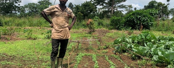 Improving livelihoods of smallholder farmers