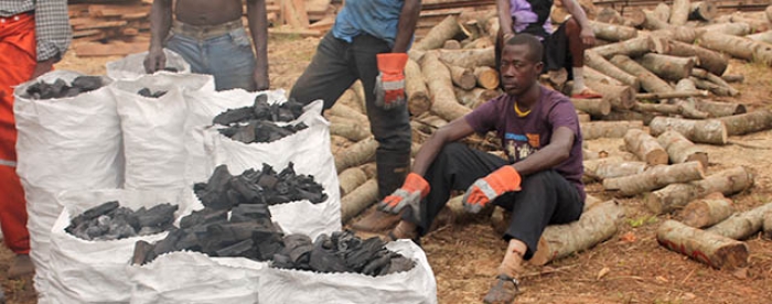 Governance Arrangements for Sustainable Charcoal Production in Ghana.