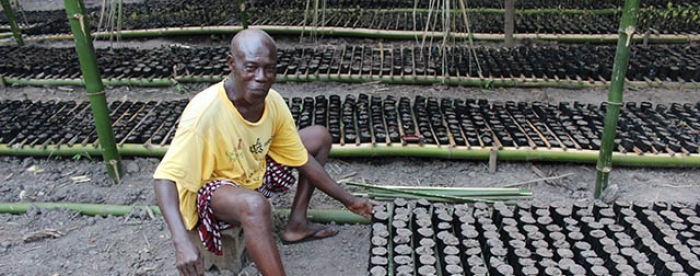 Private Tree Growers to Form Associations to Promote their Interest