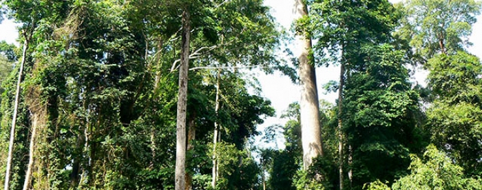 Effective benefit sharing arrangements for the proposed Atewa National Park identified