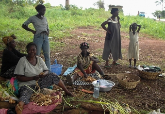 Mushroom sellers, Odumasi-Konongo.JPG